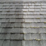 roof cleaning portland or