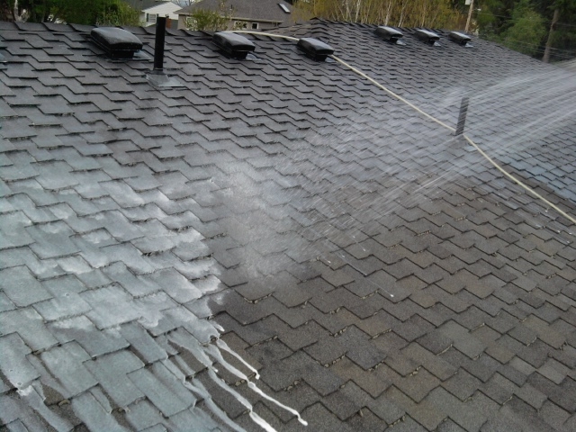 roof cleaning portland